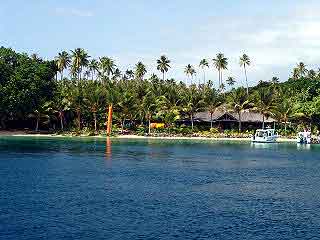 ocean swimming competition