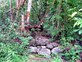 Ancient walls 
