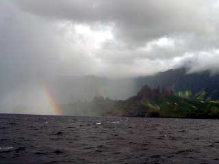 a tropical rain shower